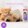 Shampoo Calming Bioline 250 ml - Imagen 2