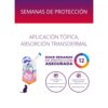 Bravecto Plus 1,2 a 2.8 Kg Gato - Imagen 3