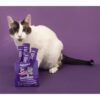 SuniChups Immune Defense 56gr - Imagen 4