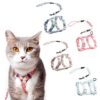 Arnés para Gatos Talla S Rosa - Imagen 2