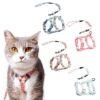Arnés para Gatos Talla M Azul - Imagen 2