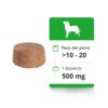 Bravecto para Perros 10 a 20 Kg - Imagen 2