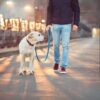 Plan Paseo semanal