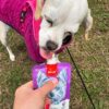 Wanpy Pasta de Pato 90 gr. Para Perros - Imagen 3