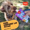 Wanpy Pasta de Pato 90 gr. Para Perros - Imagen 4