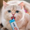 Churu Atún y Ostión 56gr. Para gatos - Imagen 4
