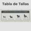Astas de Ciervo para principiantes - Imagen 4