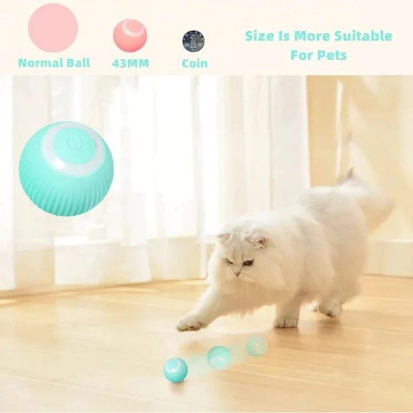 Pelota Automática Para Gatos - Imagen 6